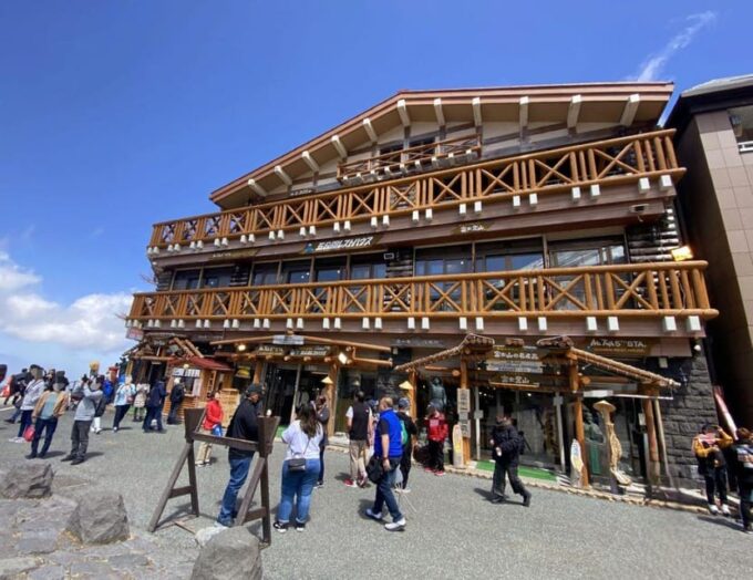From Tokyo: Mount Fuji and Hakone Private Day Tour - Hakone Ropeway Experience