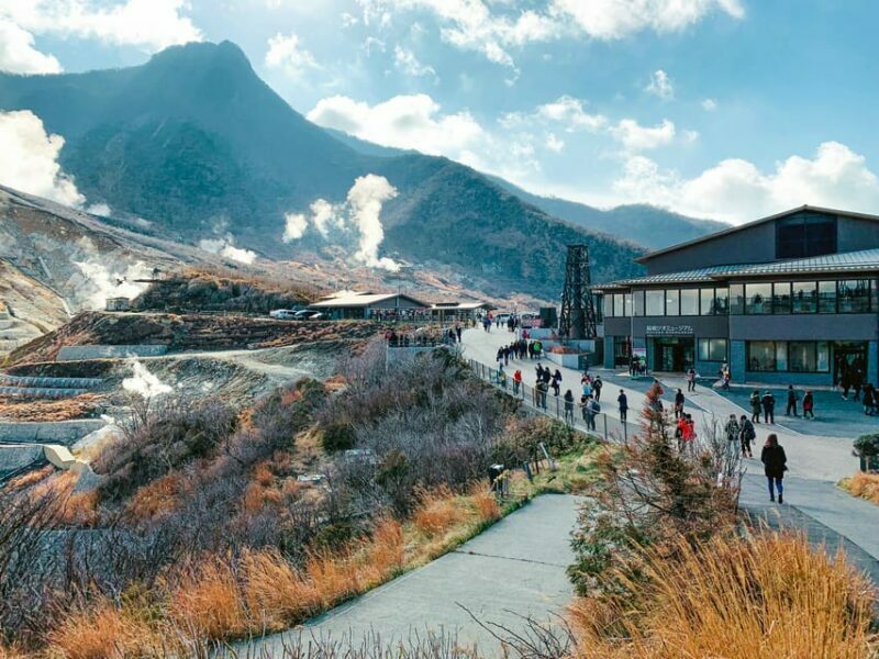 From Tokyo: Mount Fuji And Hakone Private Full Day Trip - The Sum Up