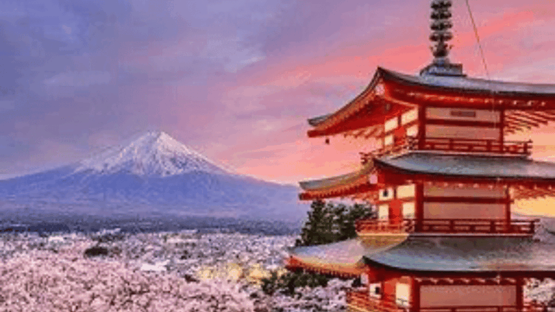 From Tokyo: Mount Fuji And Hakone Private Full Day Trip - Itinerary Highlights