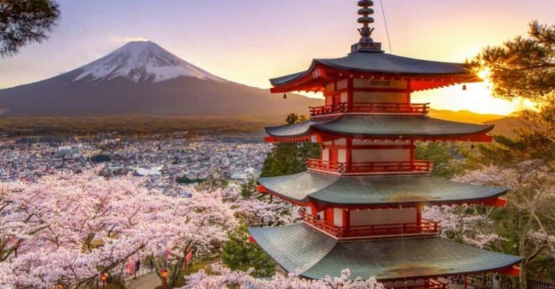 From Tokyo: Mount Fuji And Hakone Private Full Day Trip - Transportation and Accessibility