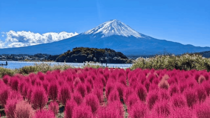 From Tokyo: Mount Fuji And Hakone Private Full Day Trip - Customizing Your Trip