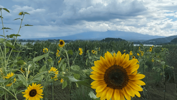 From Tokyo: Mount Fuji And Hakone Private Full Day Trip - Preparing for Your Adventure