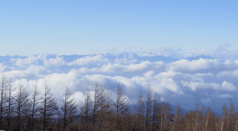 From Tokyo - Mount Fuji Classic Highlight Joiner Day Tour - Itinerary
