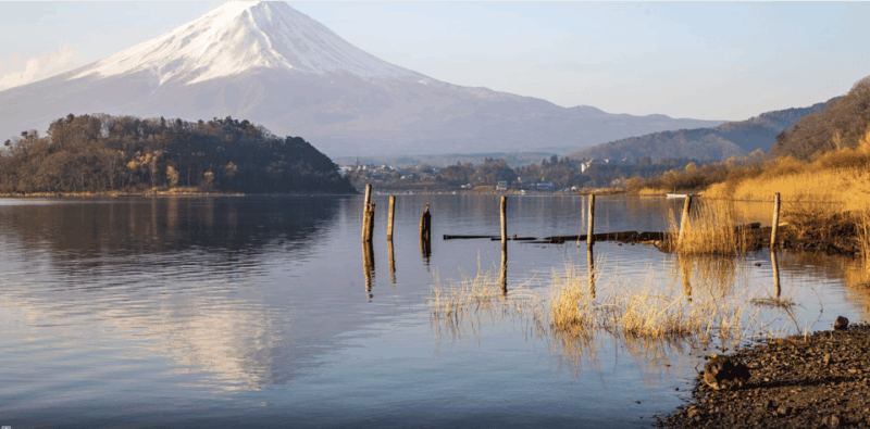 From Tokyo - Mount Fuji Classic Highlight Joiner Day Tour - Exploring Lake Kawaguchi