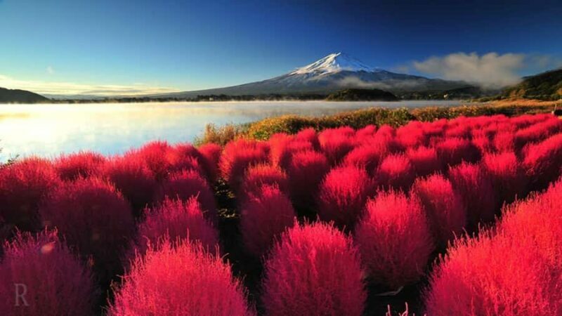 From Tokyo: Mount Fuji Customizable Guided Full Day Tour - Key Points