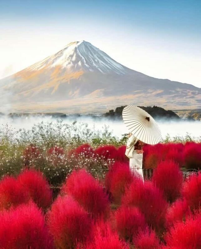 From Tokyo: Mount Fuji Customizable Guided Full Day Tour - The Value of a Fully Customizable Experience