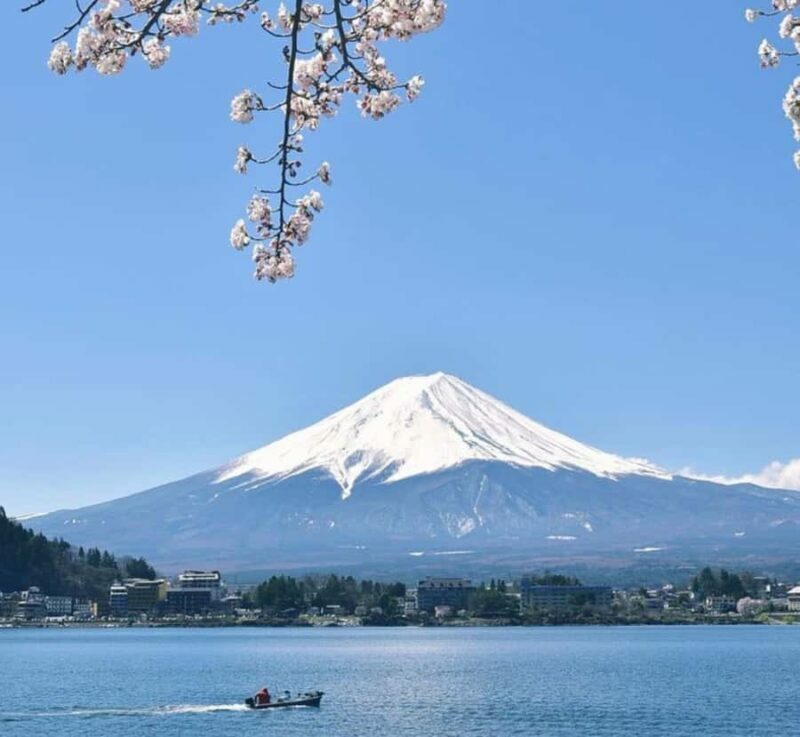 From Tokyo: Mount Fuji customizable Private Tour with Guide - Who Will Love This Tour?