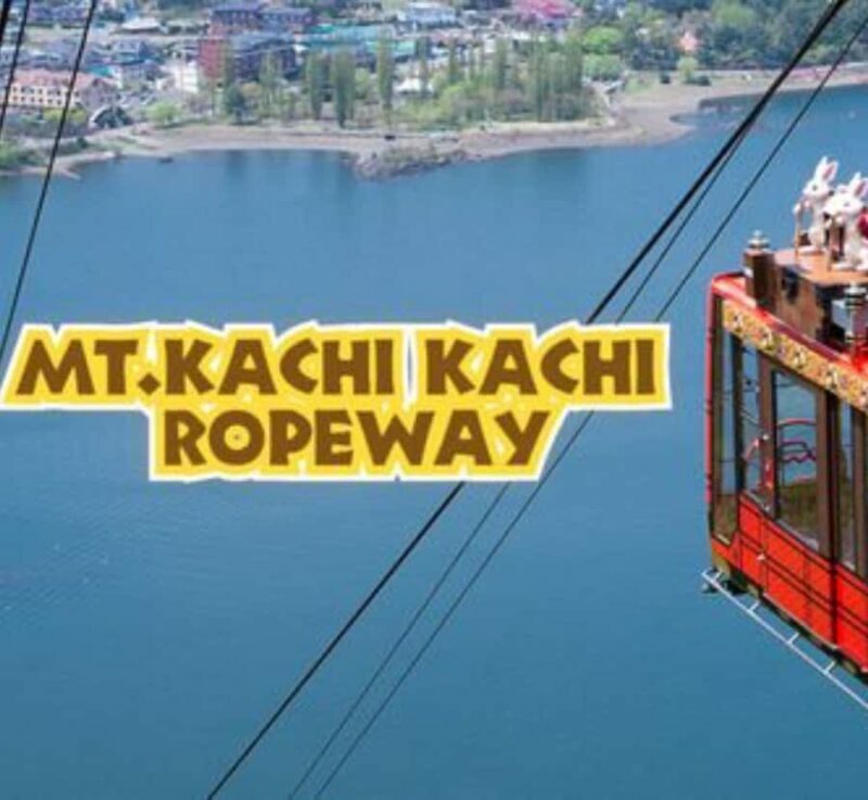 From Tokyo: Mount Fuji customizable Private Tour with Guide - Final Thoughts
