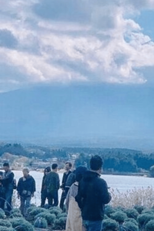 From Tokyo: Mount Fuji Day Trip By English Speaking Driver - Key Points