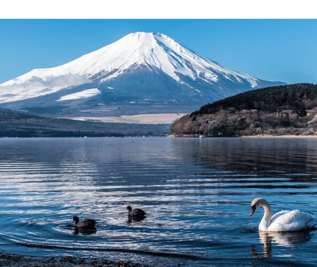 From Tokyo: Mount Fuji Day Trip By English Speaking Driver - Pickup and Drop-off