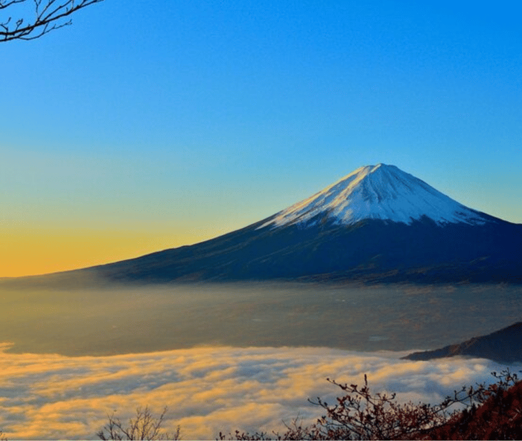 From Tokyo: Mount Fuji Day Trip By English Speaking Driver - Customized Itinerary