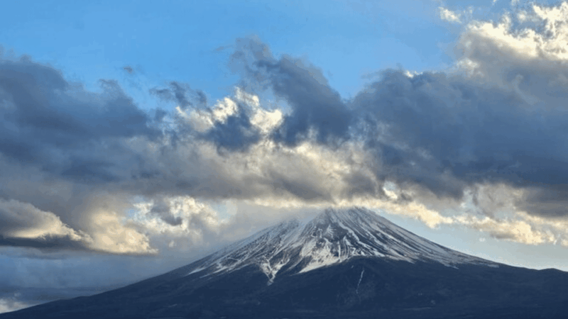 From Tokyo: Mount Fuji Day Trip By English Speaking Driver - Luxury Transportation
