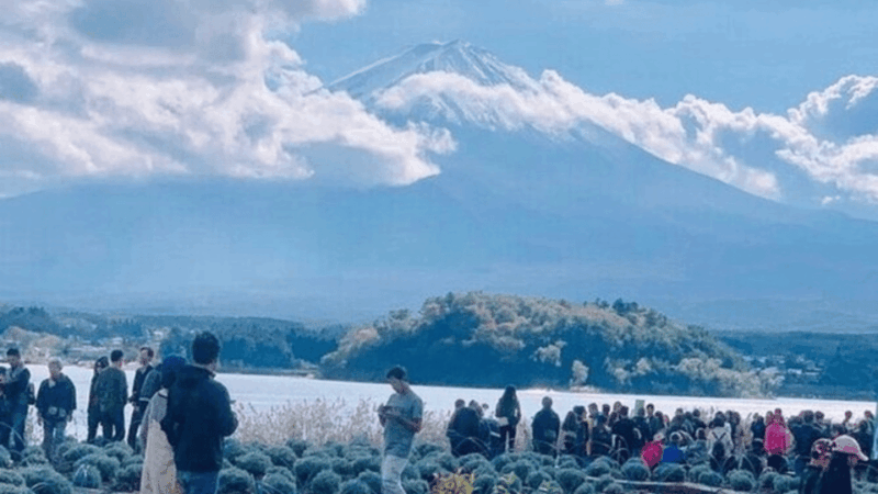 From Tokyo: Mount Fuji Day Trip By English Speaking Driver - Highlights of the Tour