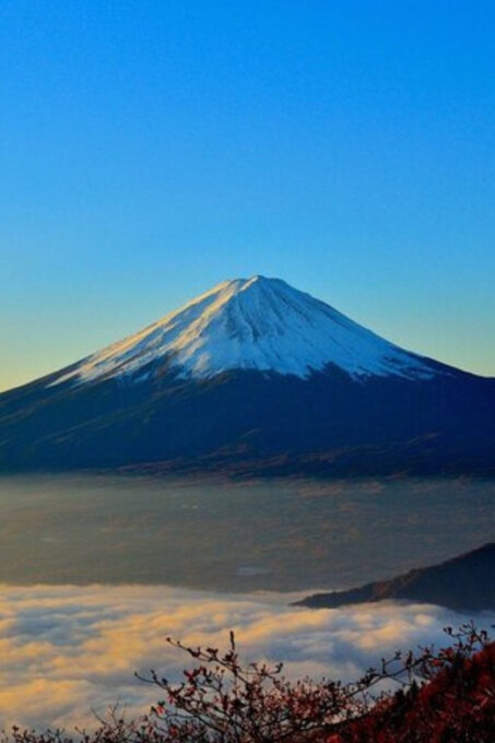 From Tokyo: Mount Fuji Day Trip By English Speaking Driver - Tour Inclusions
