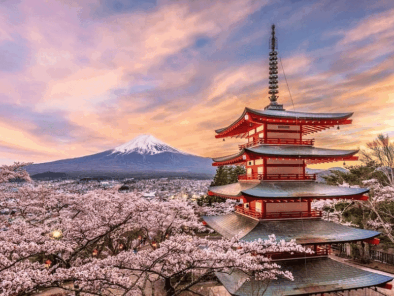 From Tokyo: Mount Fuji Day Trip With English Speaking Driver - Key Points