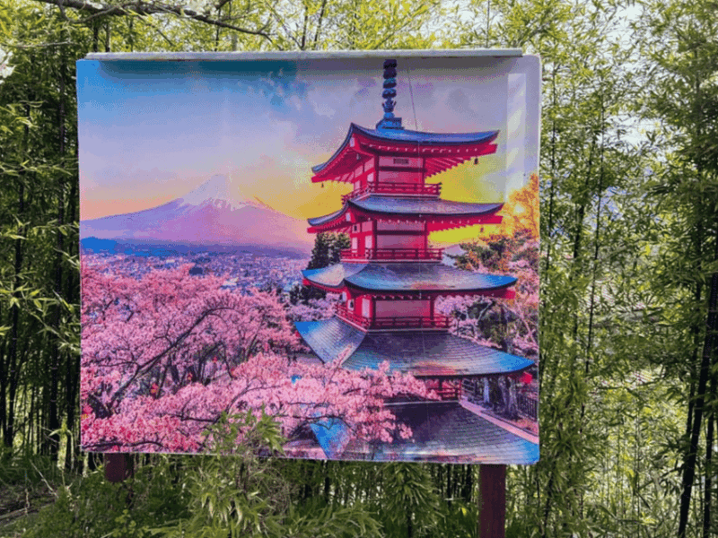 From Tokyo: Mount Fuji Day Trip With English Speaking Driver - Itinerary Highlights