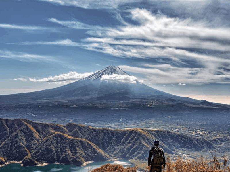 From Tokyo: Mount Fuji Day Trip With English Speaking Driver - Experience and Highlights
