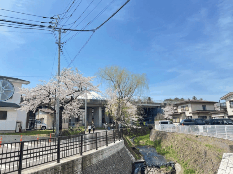 From Tokyo: Mount Fuji Day Trip With English Speaking Driver - Important Information
