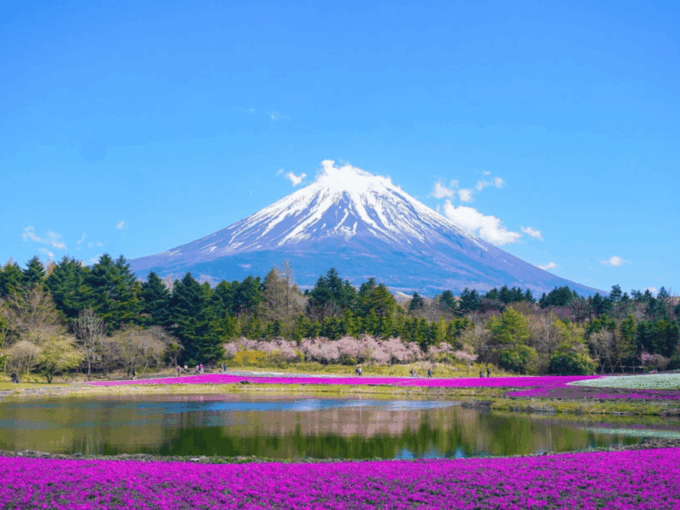 From Tokyo: Mount Fuji Day Trip With English Speaking Driver - Exploring Chureito Pagoda