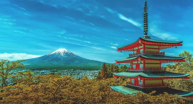 From Tokyo: Mount Fuji Day Trip With English Speaking Driver - Transportation and Accessibility