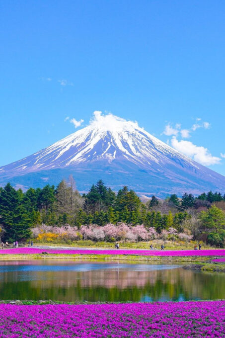 From Tokyo: Mount Fuji Day Trip With English Speaking Driver - FAQ