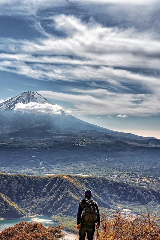 From Tokyo: Mount Fuji Day Trip With English Speaking Driver - Key Points