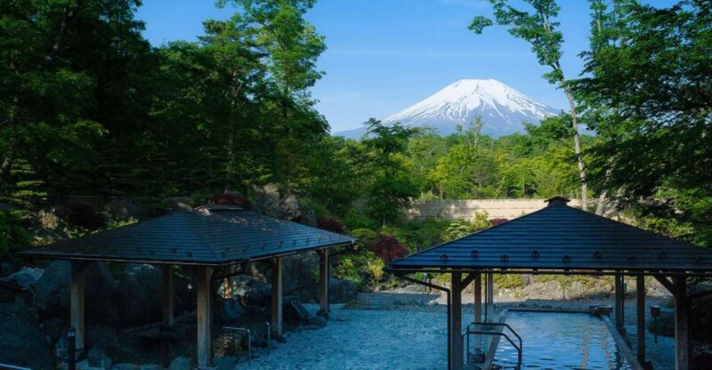 From Tokyo: Mount Fuji Day Trip With Yamanakako Hot Springs - Transportation and Pickup
