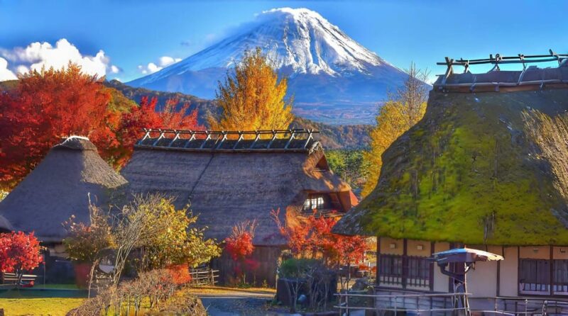 From Tokyo: Mount Fuji Four Famous Scenic Spots Day Tour - Key Points