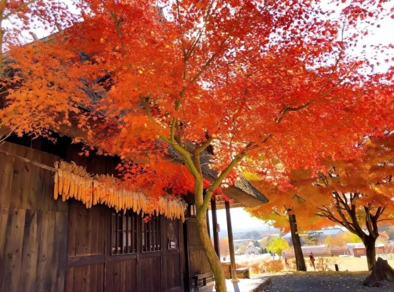 From Tokyo: Mount Fuji Four Famous Scenic Spots Day Tour - Itinerary Highlights