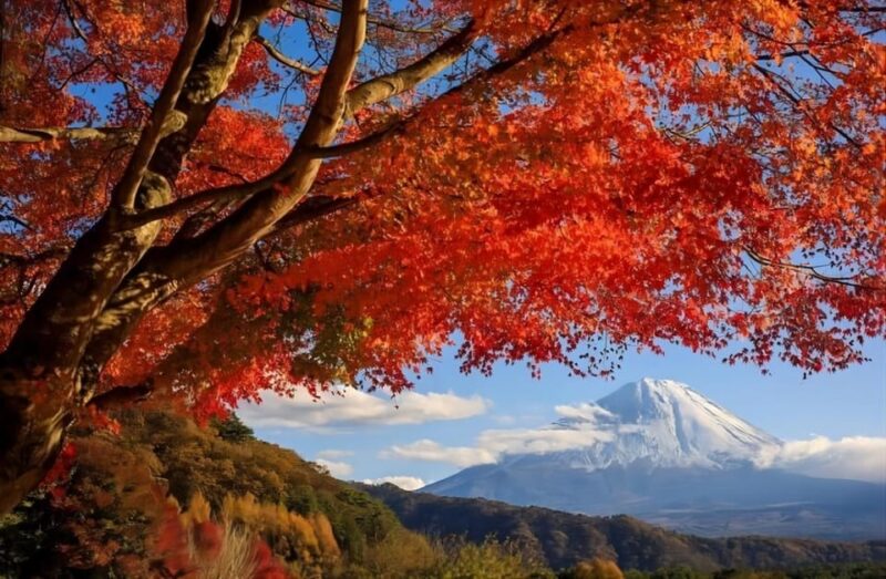 From Tokyo: Mount Fuji Four Famous Scenic Spots Day Tour - Gassho Village Experience