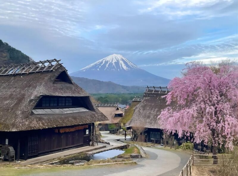 From Tokyo: Mount Fuji Four Famous Scenic Spots Day Tour - Kawaguchiko Oishi Park