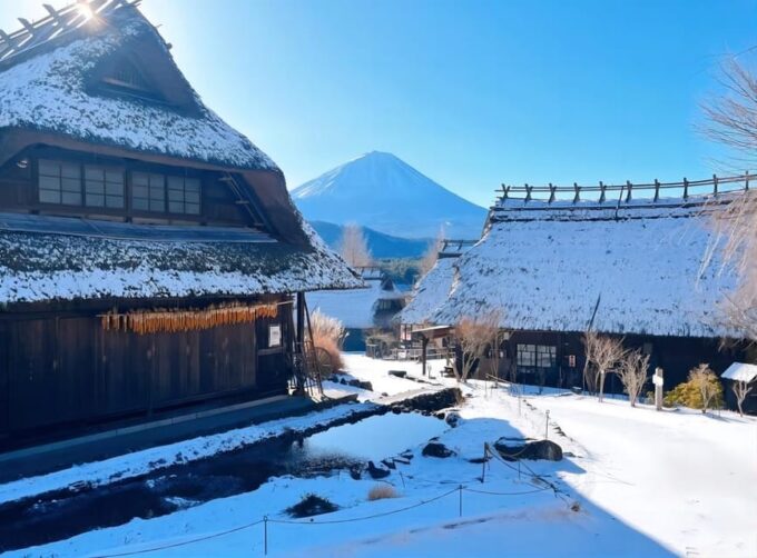 From Tokyo: Mount Fuji Four Famous Scenic Spots Day Tour - Arakurayama Sengen Park