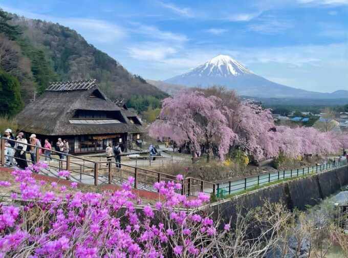 From Tokyo: Mount Fuji Four Famous Scenic Spots Day Tour - Important Information and Customer Reviews
