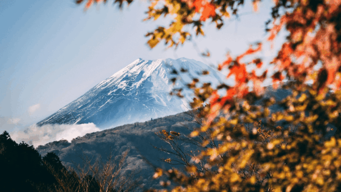From Tokyo: Mount Fuji Full-Day Customised Private Tour - Customer Experience and Reviews