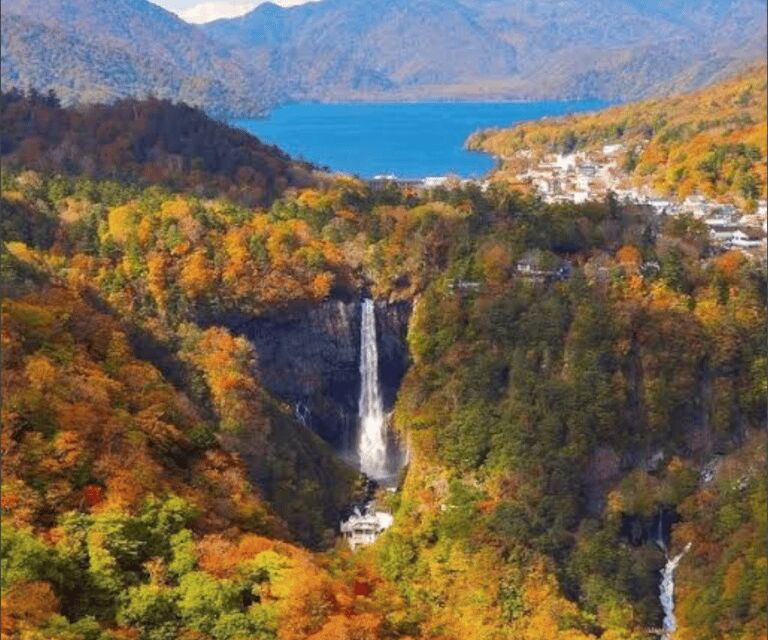 From Tokyo: Mount Fuji Full Day Customizable Private Tour - Key Points