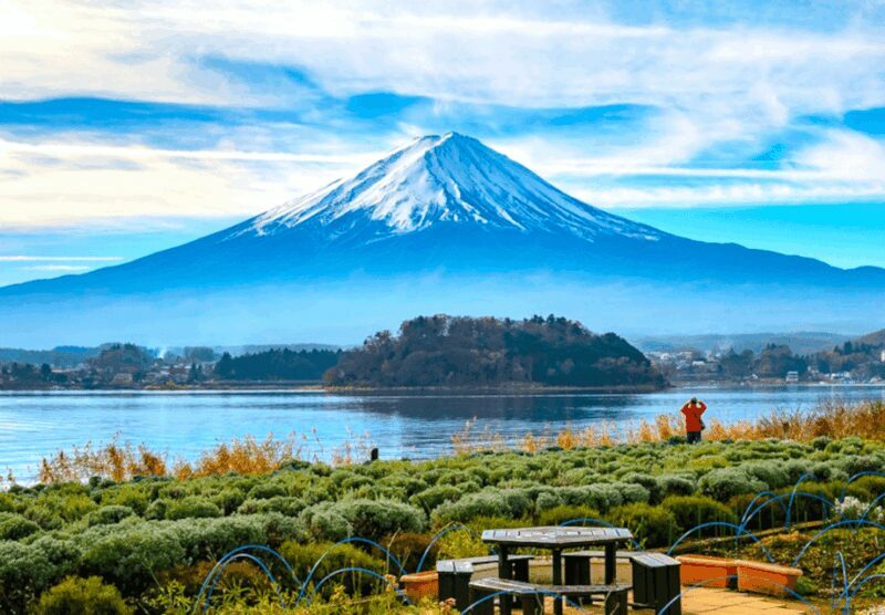 From Tokyo: Mount Fuji Full Day Customizable Private Tour - Authentic Experiences and Guest Feedback