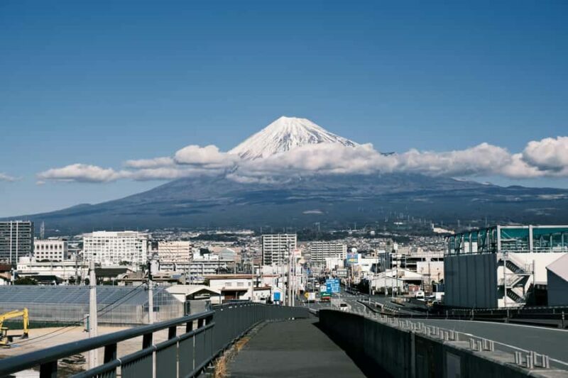 From Tokyo: Mount Fuji Full-Day Customizable & Private Tour - An Overview of the Experience