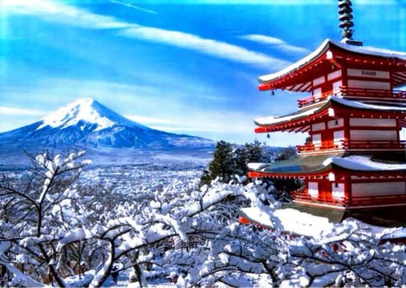 From Tokyo: Mount Fuji Full-Day Customized Private Tour - Guide and Customer Feedback