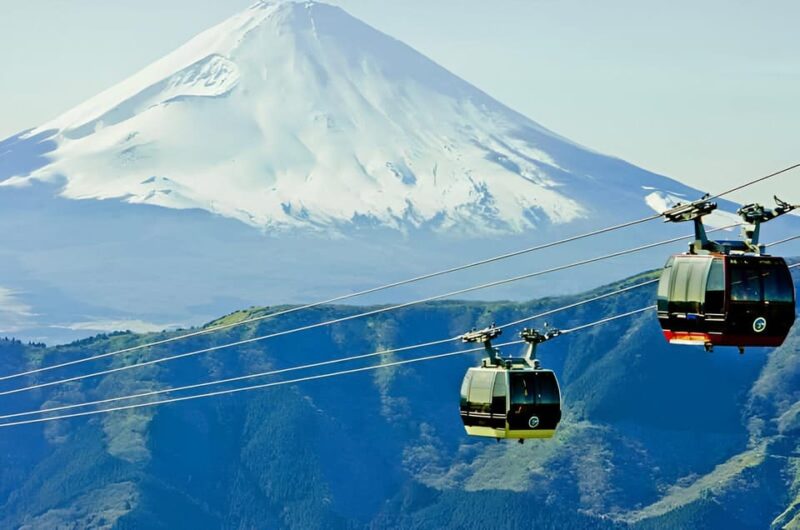 From Tokyo: Mount Fuji & Hakone Full Day Private Tour - Optional Visits