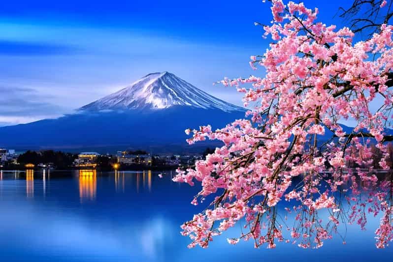 From Tokyo: Mount Fuji & Hakone Full Day Private Tour - Transportation and Services