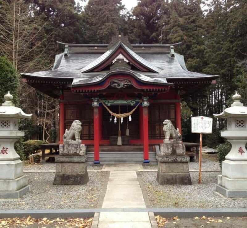 From Tokyo: Mount Fuji & Hakone Private Customizable Tour - Key Points