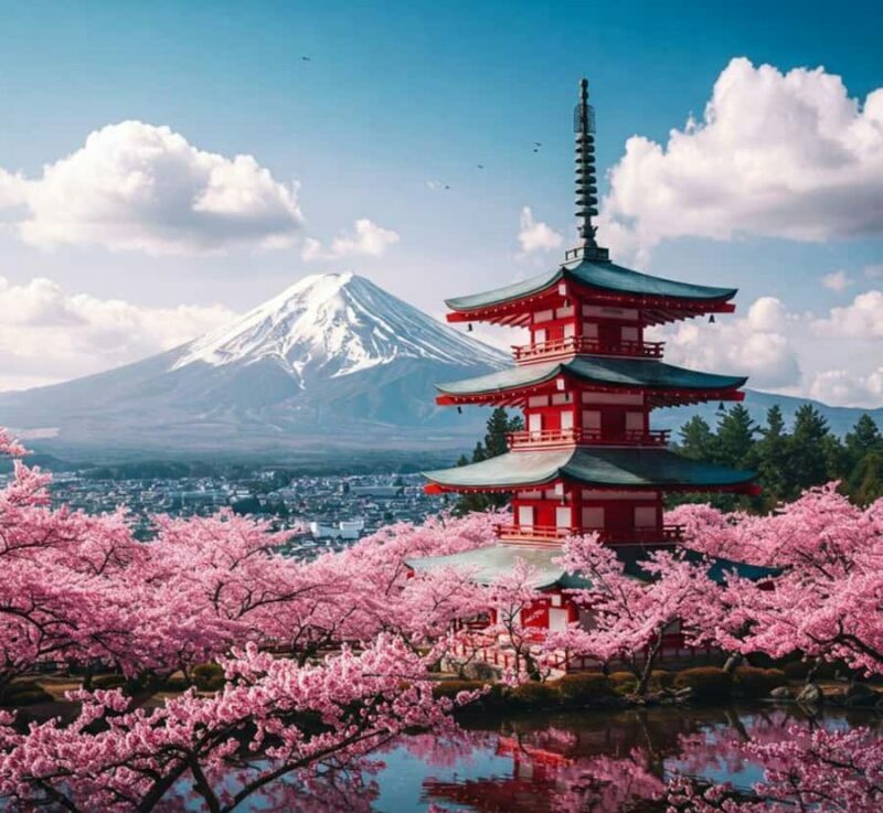 From Tokyo: Mount Fuji & Hakone Private Customizable Tour - The Sum Up