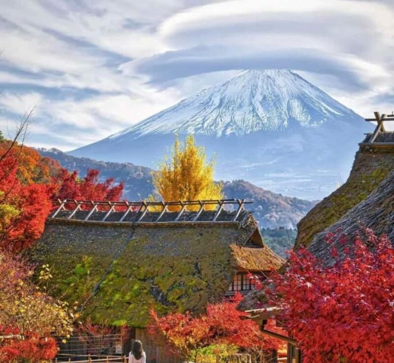 From Tokyo: Mount Fuji & Hakone Private Customizable Tour - FAQ