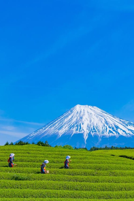 From Tokyo: Mount Fuji Highlight Photo Spots Full-Day Tour - Sightseeing Locations