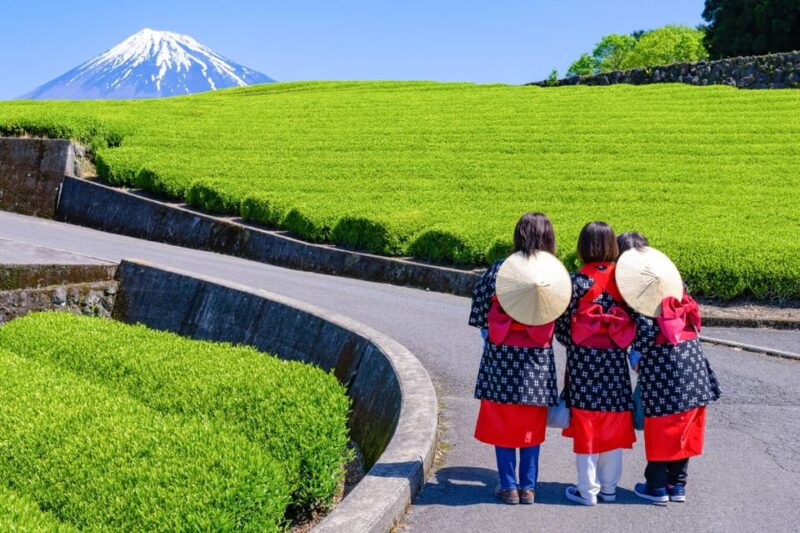 From Tokyo: Mount Fuji Highlight Photo Spots Full-Day Tour - Duration and Transportation