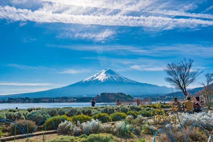 From Tokyo: Mount Fuji Highlight Photo Spots Full-Day Tour - Inclusions and Exclusions
