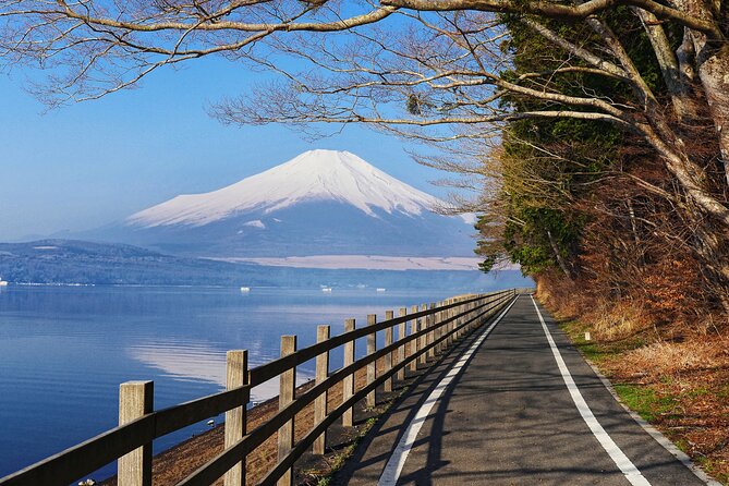 From Tokyo: Mount Fuji Highlights Tour With Kawaguchi Lake Cruise - Cruising on Kawaguchi Lake
