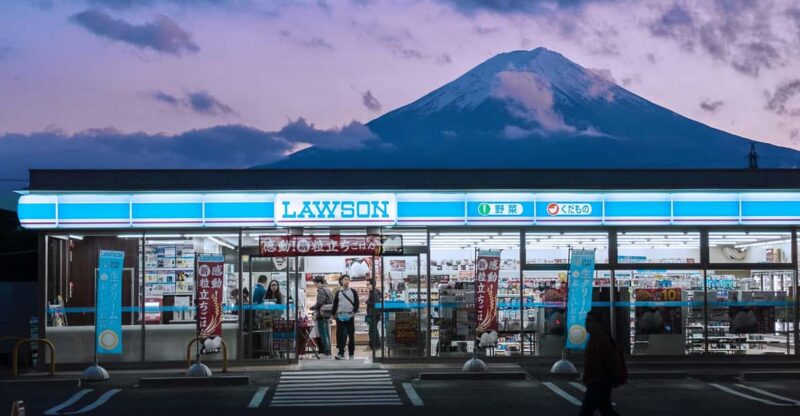 From Tokyo: Mount Fuji Instagram Spots 1-Day Private Tour - Key Points