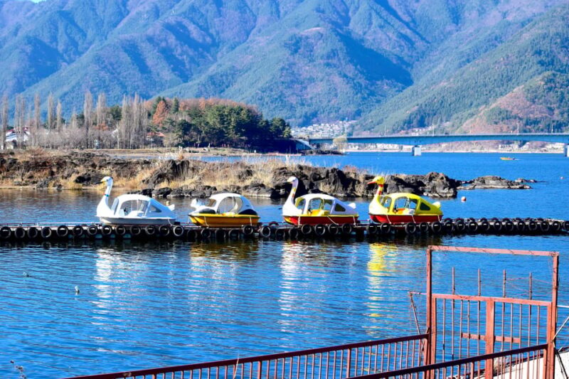 From Tokyo: Mount Fuji Instagram Spots 1-Day Private Tour - Hikawa Watch Store and Quaint Views