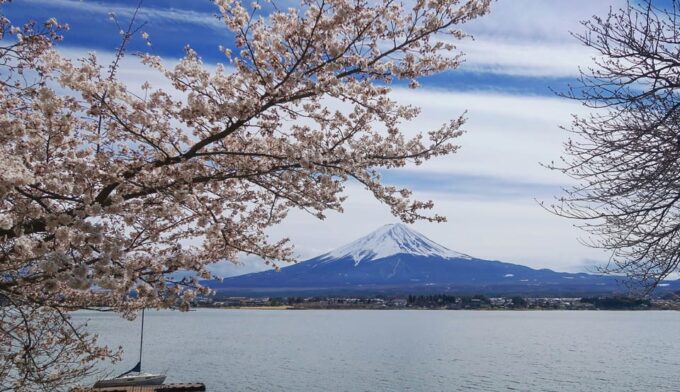 From Tokyo: Mount Fuji Instagram Spots 1-Day Private Tour - Transportation Details